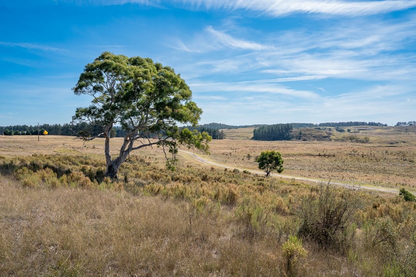 3098 Oallen Ford Road Windellama via Goulburn NSW 2580 - Image 2