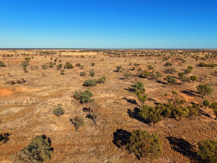Warrambah - Bundaleer South Plains Road Cunnamulla QLD 4490 - Image 2