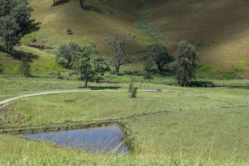 5361 Armidale Road Bellbrook NSW 2440 - Image 3