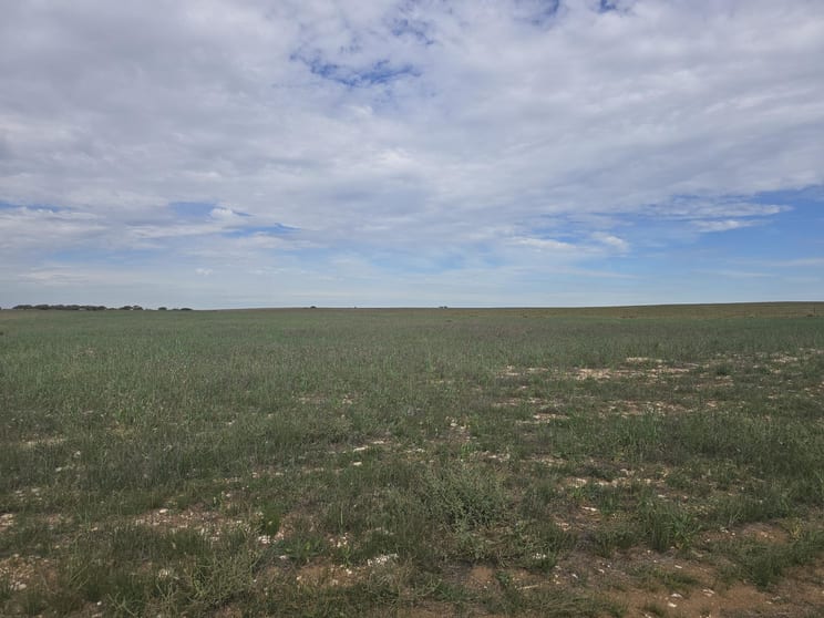 942 Baumgurtel Road Wynarka SA 5306 - Image 1