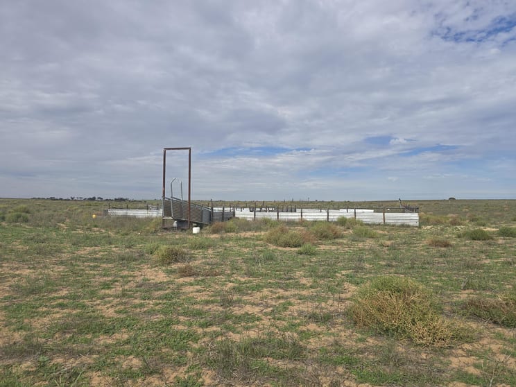 942 Baumgurtel Road Wynarka SA 5306 - Image 2