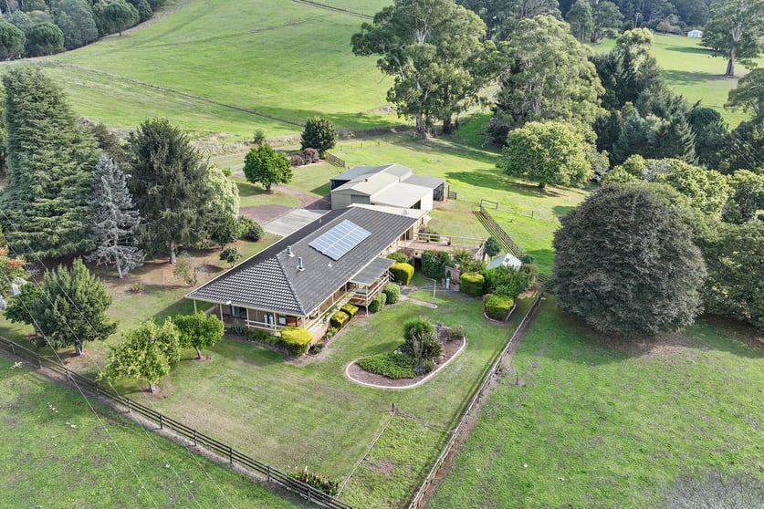54 Cleaver Road Piedmont VIC 3833 - Image 2