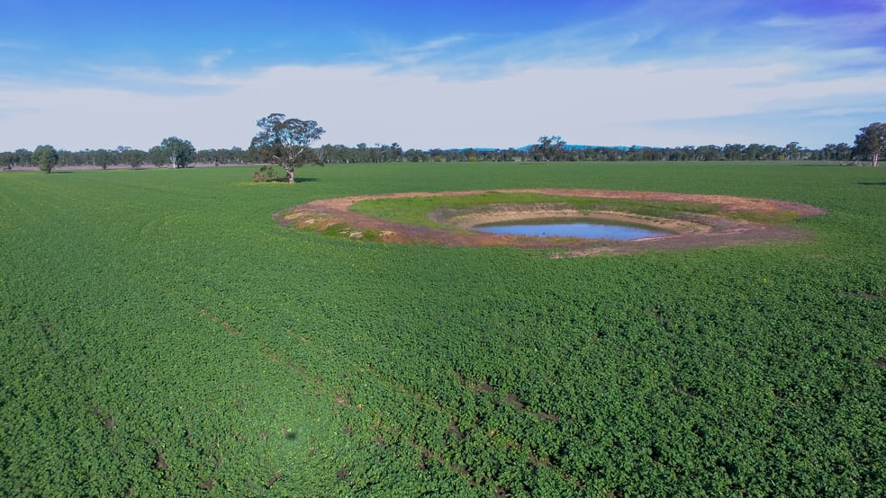 0 Henty Walla Road Culcairn NSW 2660 - Image 3