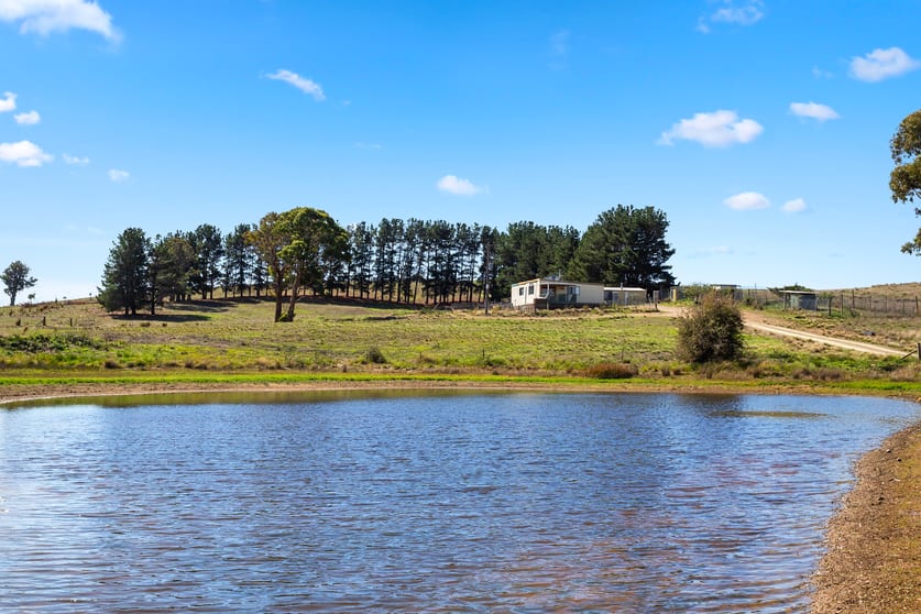 240 Shingle Hill Way Gundaroo NSW 2620 - Image 3