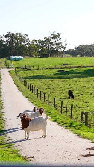 35 Whitelaws Track Leongatha South VIC 3953 - Image 2