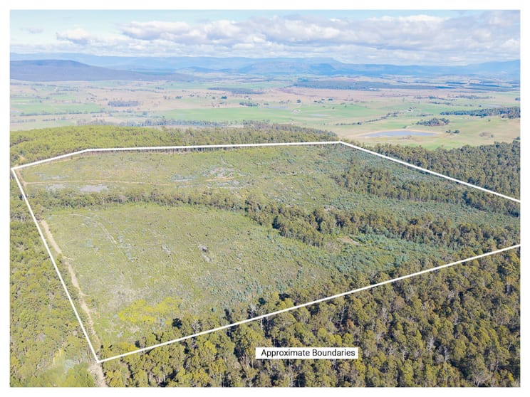 Lot 1 Bradys Creek Road Parkham TAS 7304 - Image 1