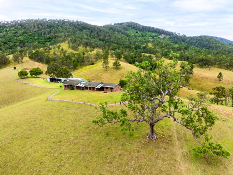 127 Tobins River Road Mount Seaview NSW 2446 - Image 2