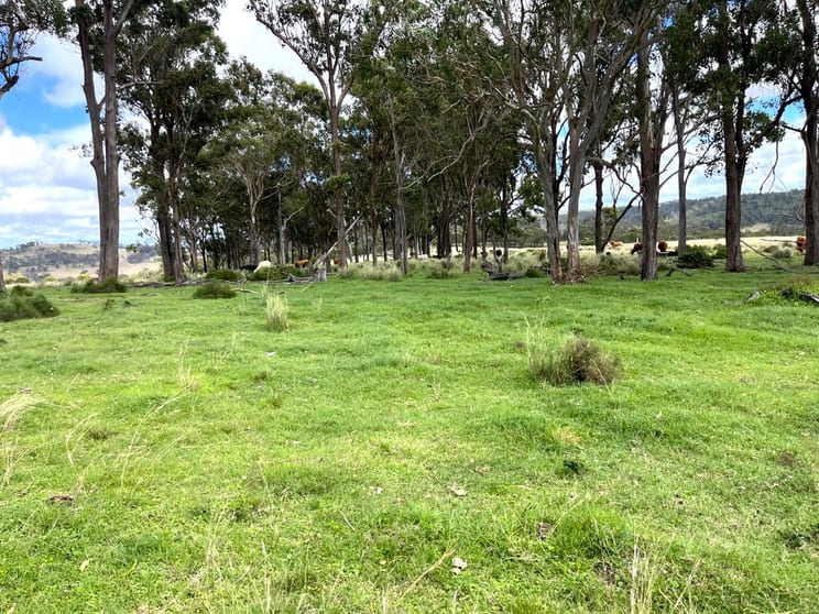 Lot 690/ McCafferty Road Merritts Creek QLD 4352 - Image 2