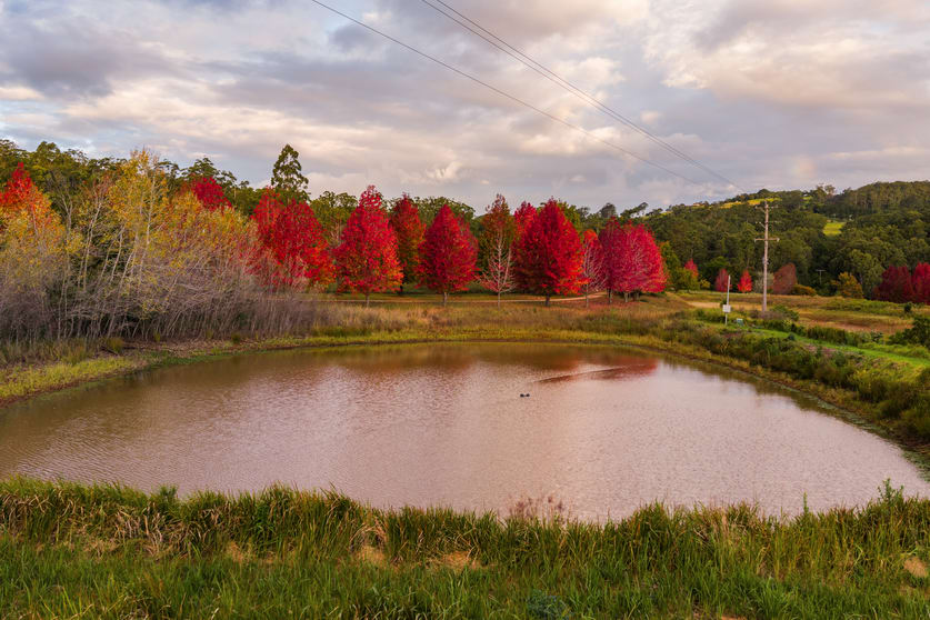 "Overberg" 3697 Esk Hampton Road Ravensbourne QLD 4352 - Image 3