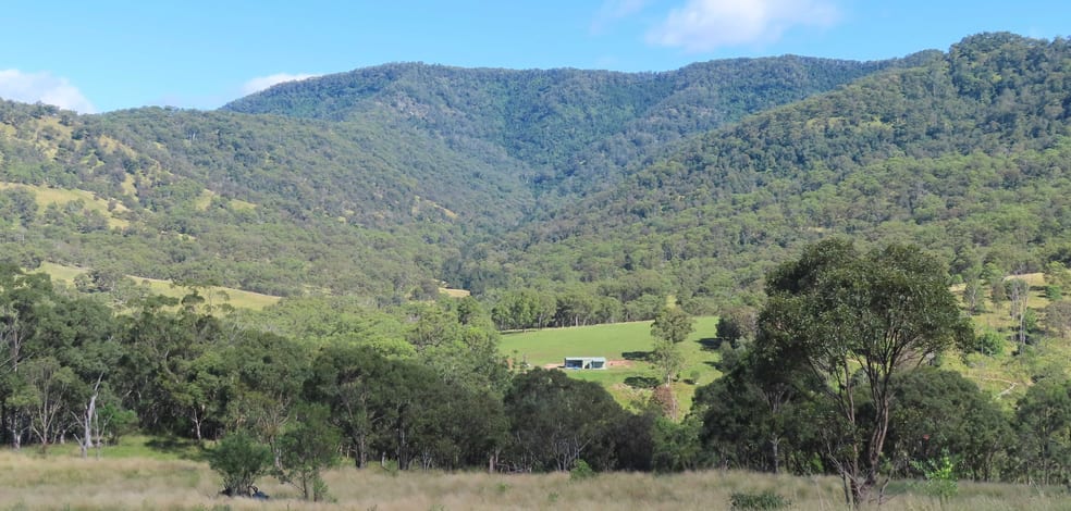 1060 Dry Creek Rd Scone NSW 2337 - Image 1