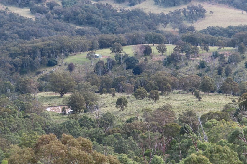 1060 Dry Creek Rd Scone NSW 2337 - Image 2