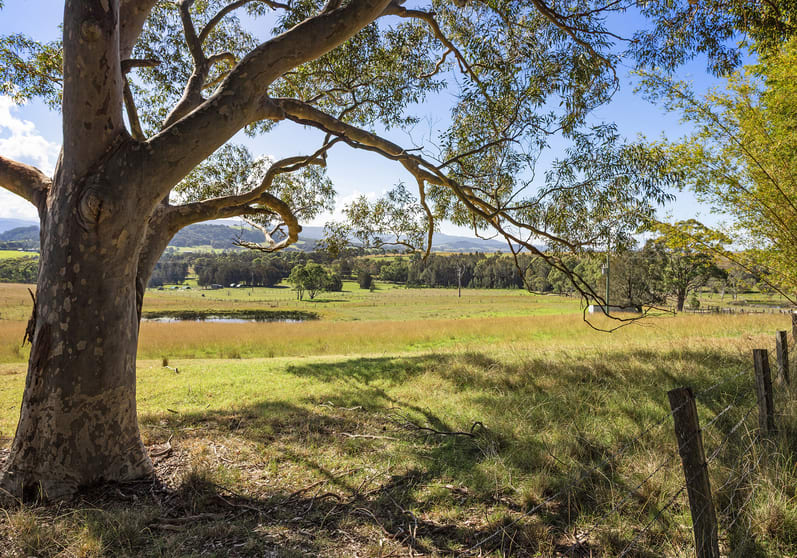 201 Coolangatta Road Far Meadow NSW 2535 - Image 1