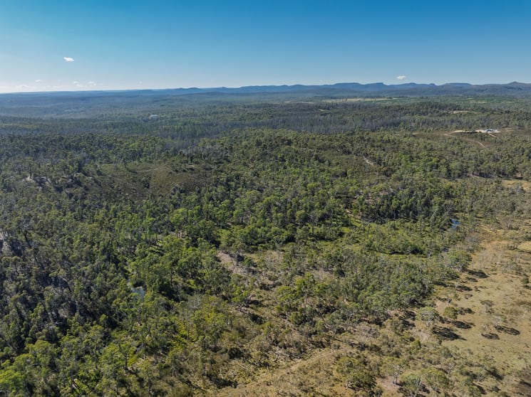 8203 Nerriga Road Tomboye NSW 2622 - Image 2