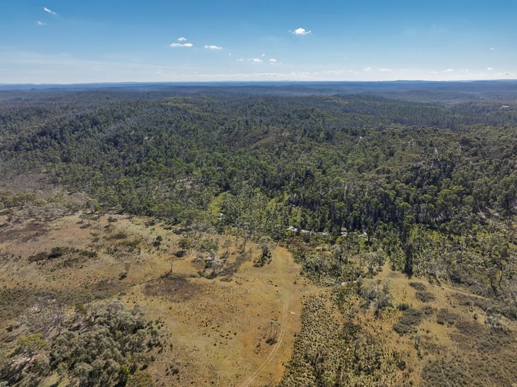 8203 Nerriga Road Tomboye NSW 2622 - Image 3