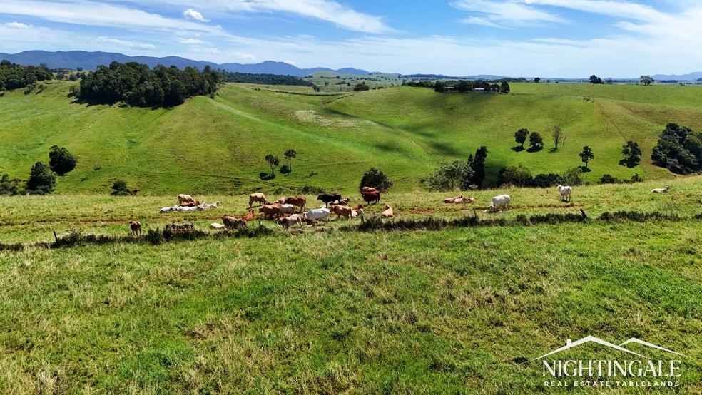 881 Merragallan Road Jaggan QLD 4885 - Image 3