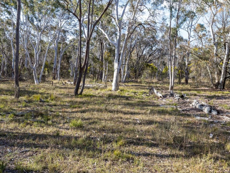 874 Sandy Point Road Lower Boro NSW 2580 - Image 3