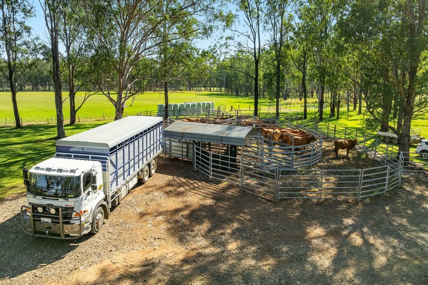 1295 Ellangowan Road Ellangowan NSW 2470 - Image 3
