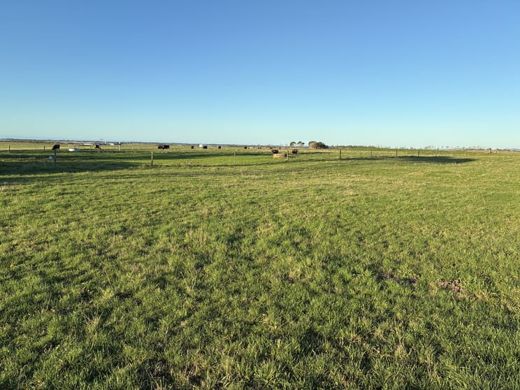 26 Davey Point Road Montagu TAS 7330 - Image 1