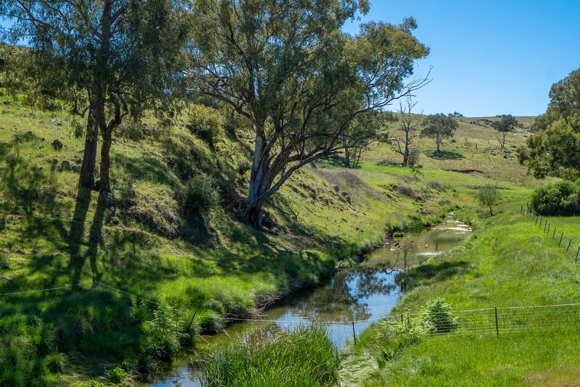 Click to view all images 1097 Davys Plains Road Cudal NSW 2864 - Image 1