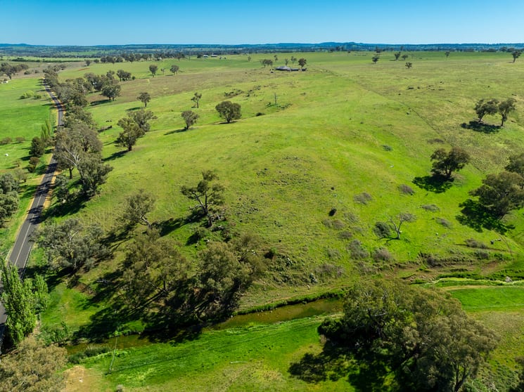 Click to view all images 1097 Davys Plains Road Cudal NSW 2864 - Image 3