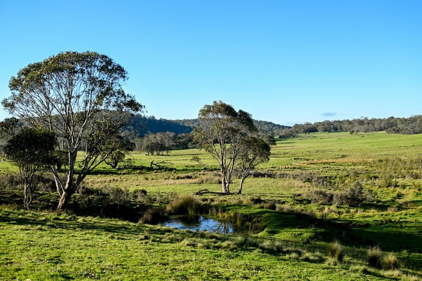 Snowy Flat/Lot 29 Kydra Fire Trail Kybeyan NSW 2631 - Image 1