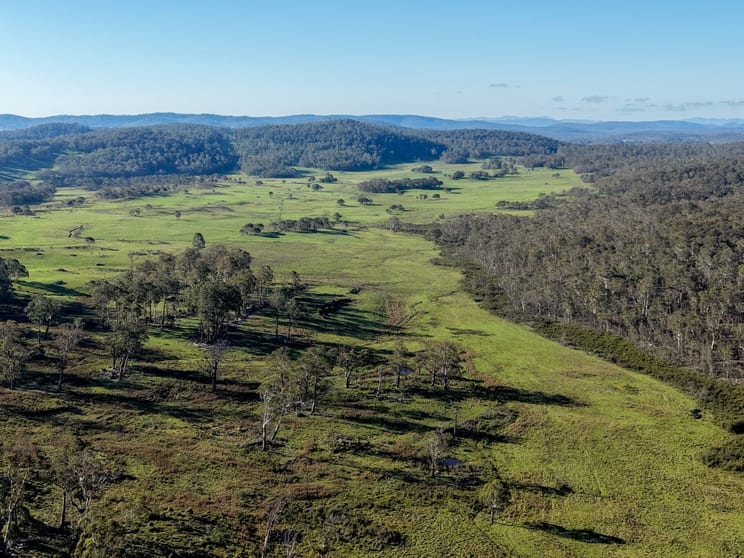 Snowy Flat/Lot 29 Kydra Fire Trail Kybeyan NSW 2631 - Image 3
