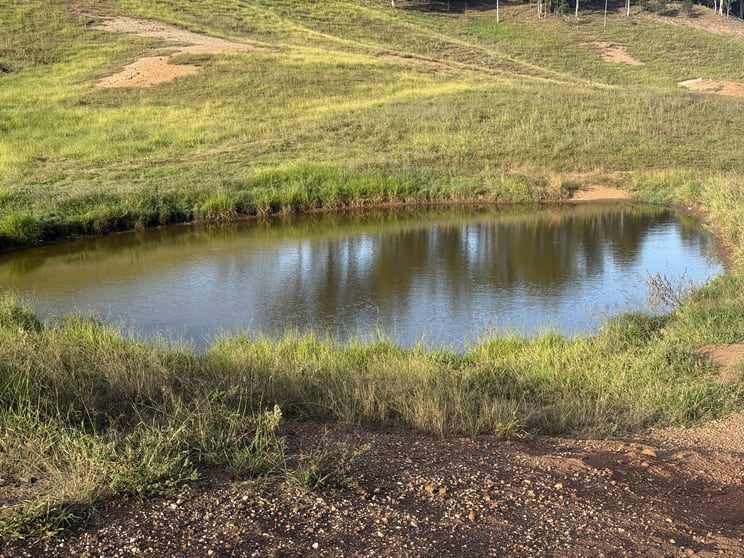 Redhill Farms QLD 4671 - Image 3