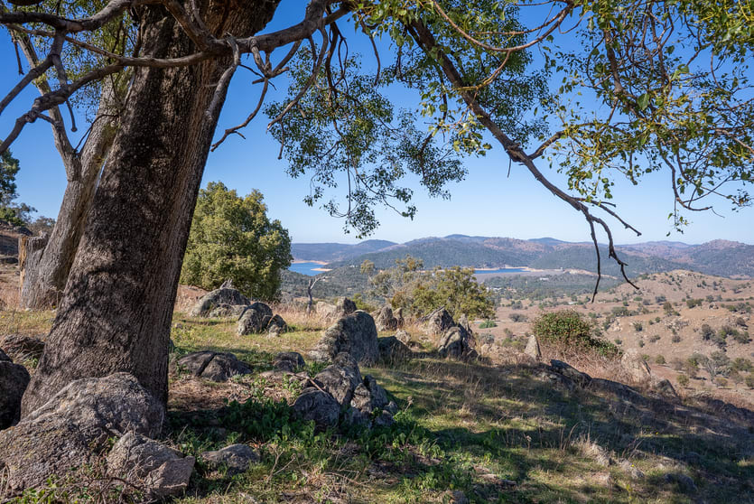 2656 Reg Hailstone Way Woodstock NSW 2793 - Image 2