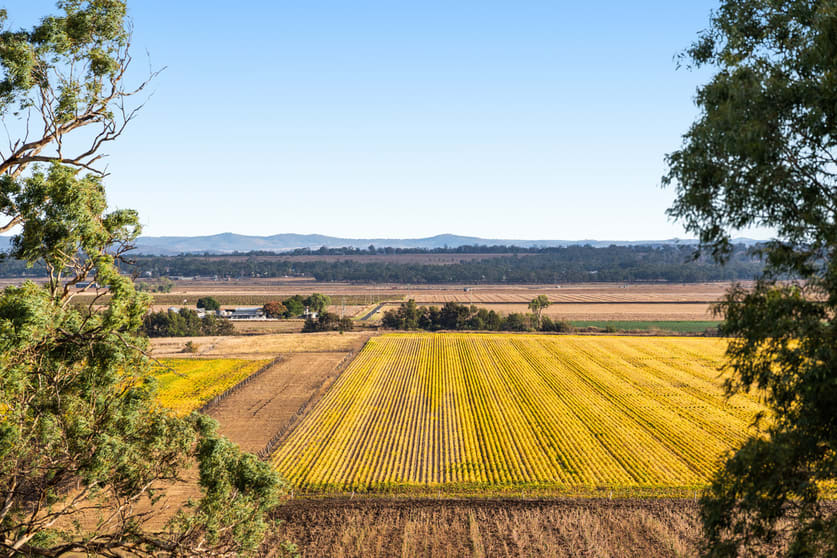 Hillside Road Allora QLD 4362 - Image 1