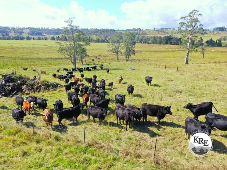 Click to view all images 603 Knights Road Kyogle NSW 2474 - Image 1