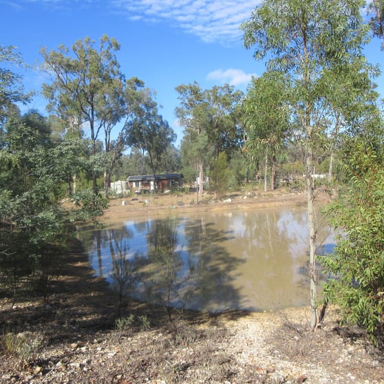 Tara QLD 4421 - Image 2
