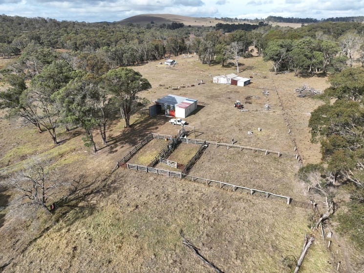 Click to view all images 12798 Gwydir Highway Bald Nob NSW 2370 - Image 2