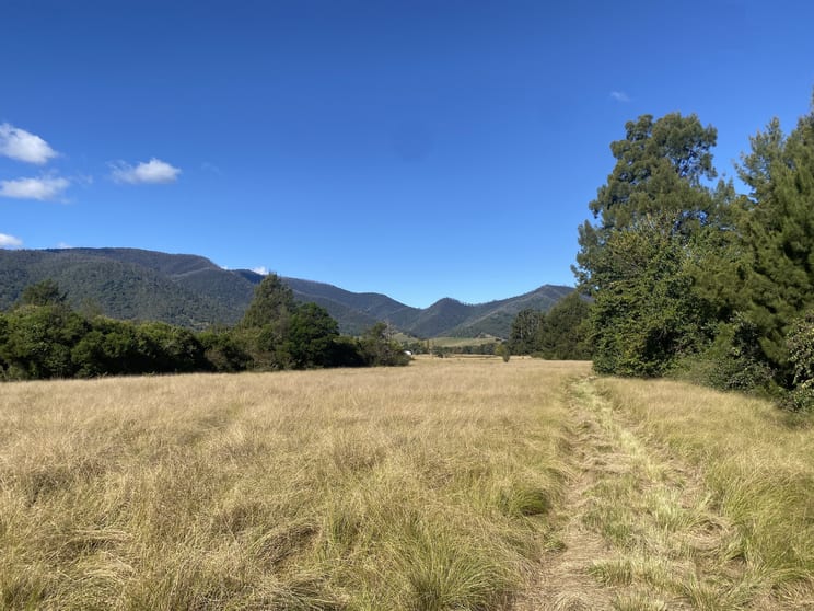 6169 Araluen Road Araluen NSW 2622 - Image 2