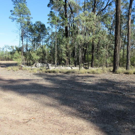 Lot 7 Treasures Road Tara QLD 4421 - Image 3