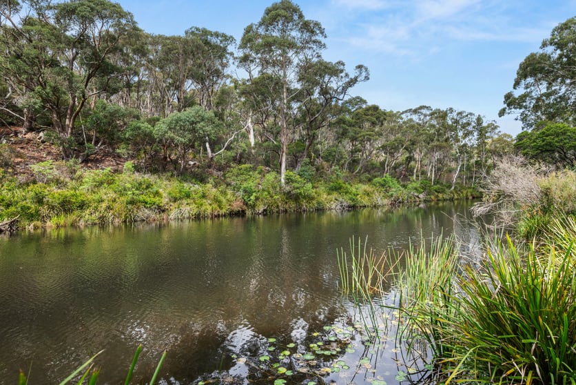 147 Webbs Road Braidwood NSW 2622 - Image 1