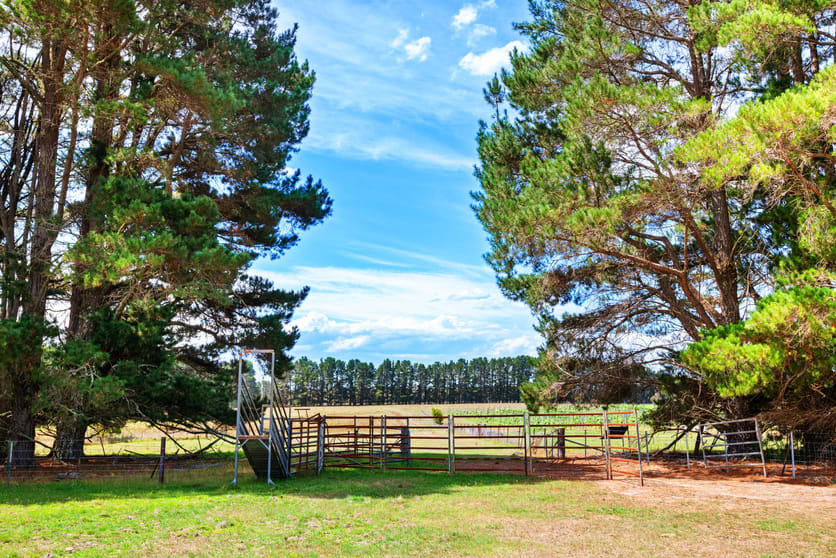 1149 Charleys Forest Braidwood NSW 2622 - Image 1