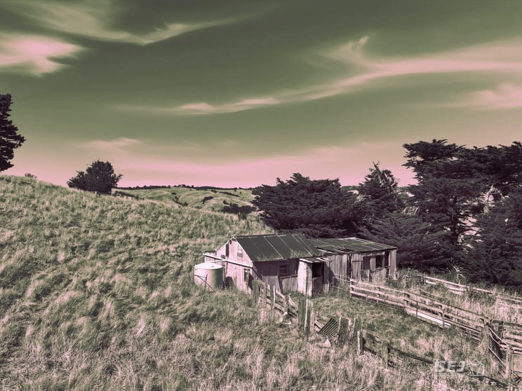 224 Ross and Witherdens Road Strzelecki VIC 3950 - Image 1