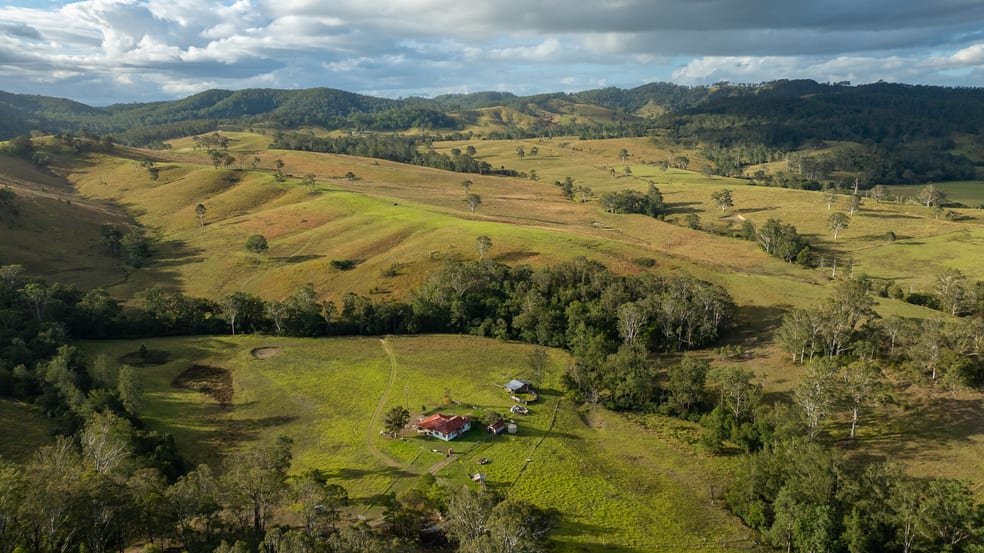 1333 Waukivory Road, Waukivory VIA Gloucester NSW 2422 - Image 1