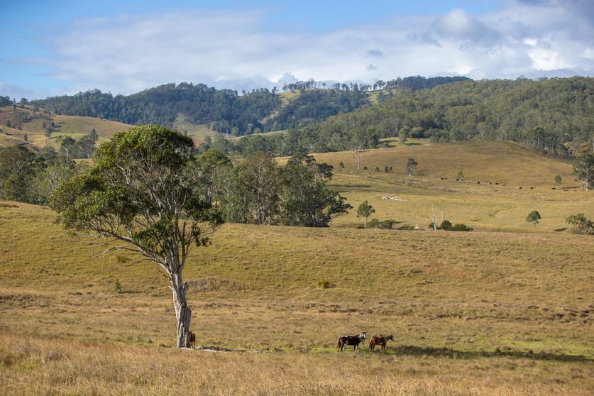1333 Waukivory Road, Waukivory VIA Gloucester NSW 2422 - Image 3