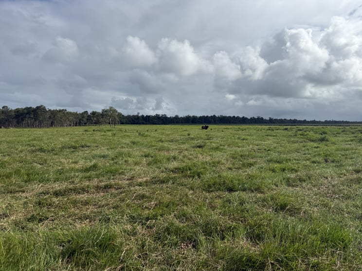 Rockingham QLD 4854 - Image 1