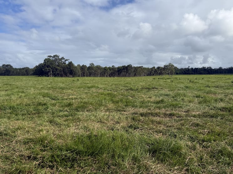 Rockingham QLD 4854 - Image 3
