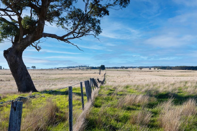 Lot 4 Browns Lane Snake Valley VIC 3351 - Image 3