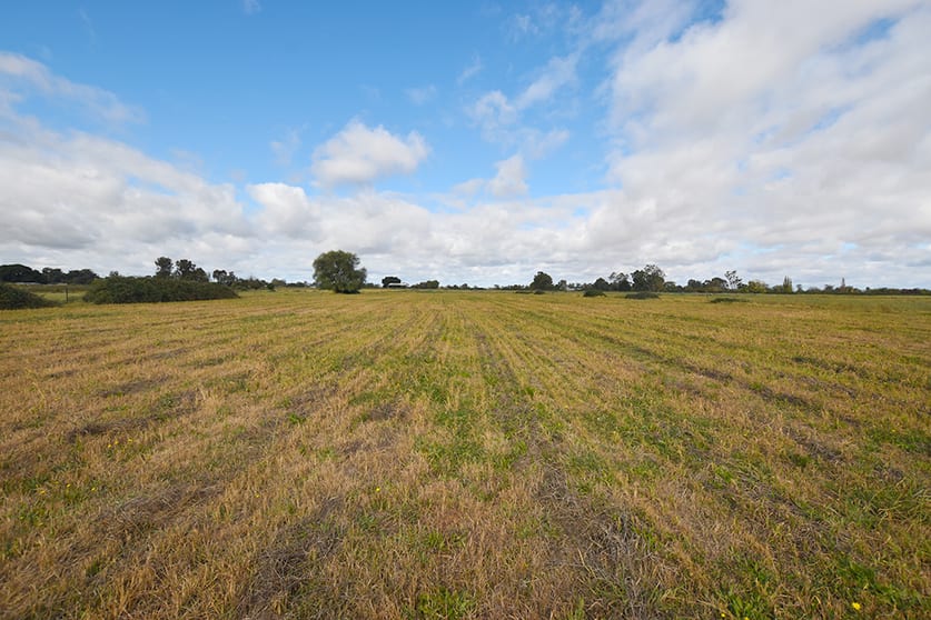 Murphy Road Koyuga VIC 3622 - Image 3
