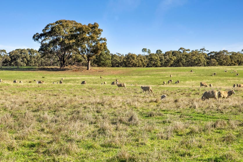 189 Lillicur Road Amherst VIC 3371 - Image 2