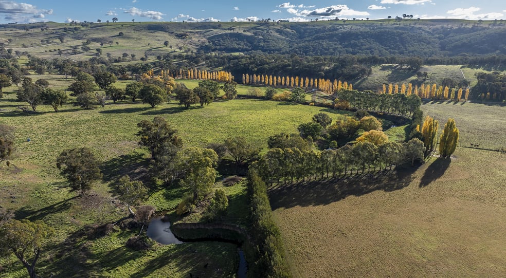 Click to view all images 'The Grove' 635 Grove Creek Road Trunkey Creek NSW 2795 - Image 1
