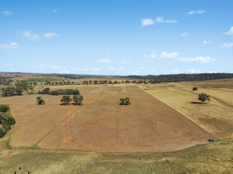 Coates Creek Road Manildra NSW 2865 - Image 1