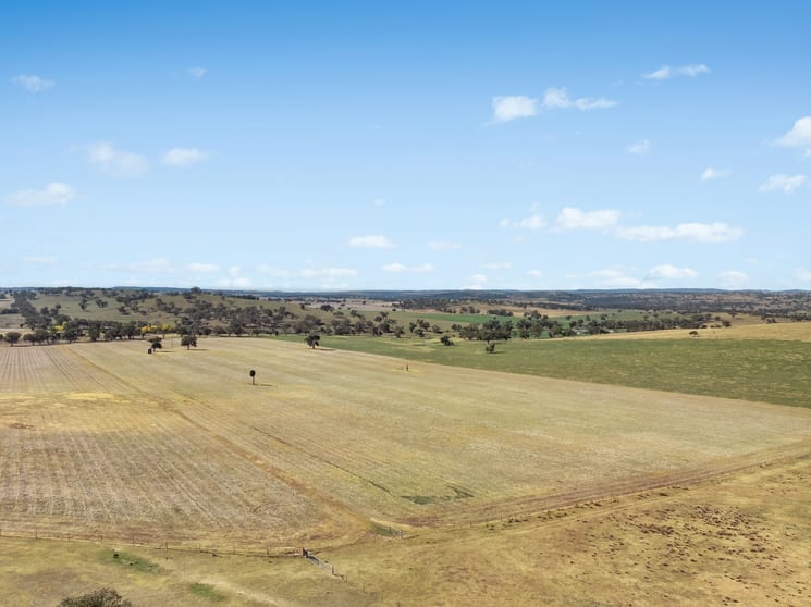 Coates Creek Road Manildra NSW 2865 - Image 2