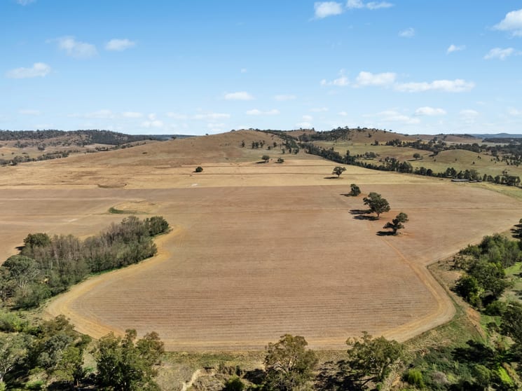 Coates Creek Road Manildra NSW 2865 - Image 3