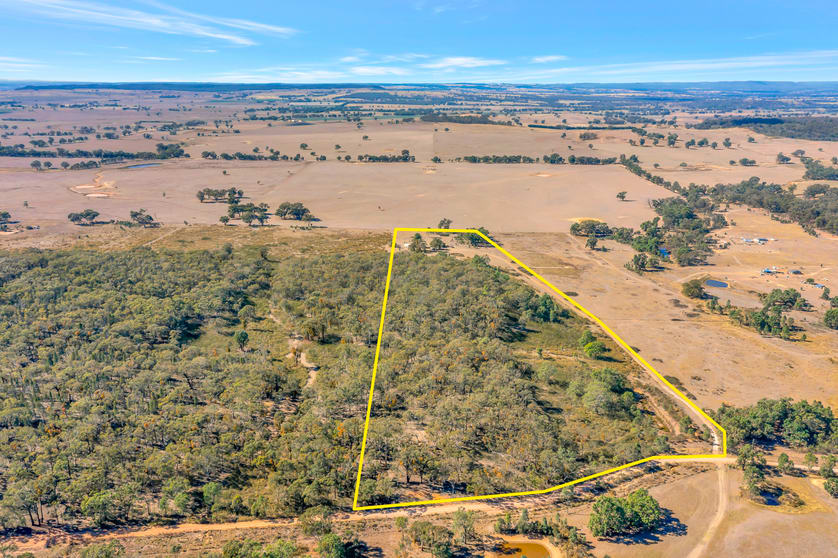 42 Suzanne Road Gulgong NSW 2852 - Image 2