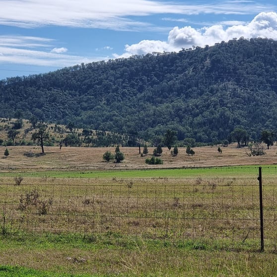 Click to view all images Lot 34 Gibraltar Station Road Tenterfield NSW 2372 - Image 3